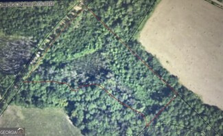 More details for Hayride Rd, Lumber City, GA - Land for Sale