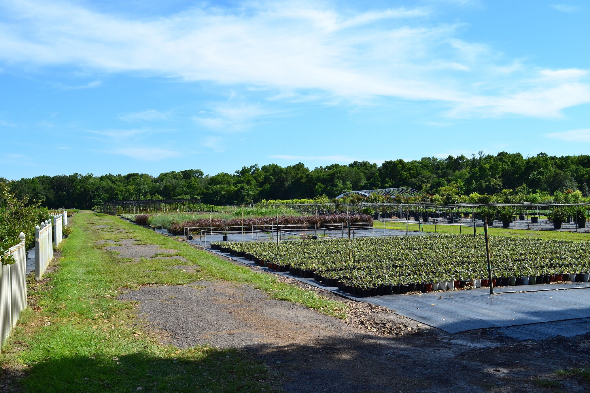 2451 S County Line Rd, Plant City, FL for sale Primary Photo- Image 1 of 1