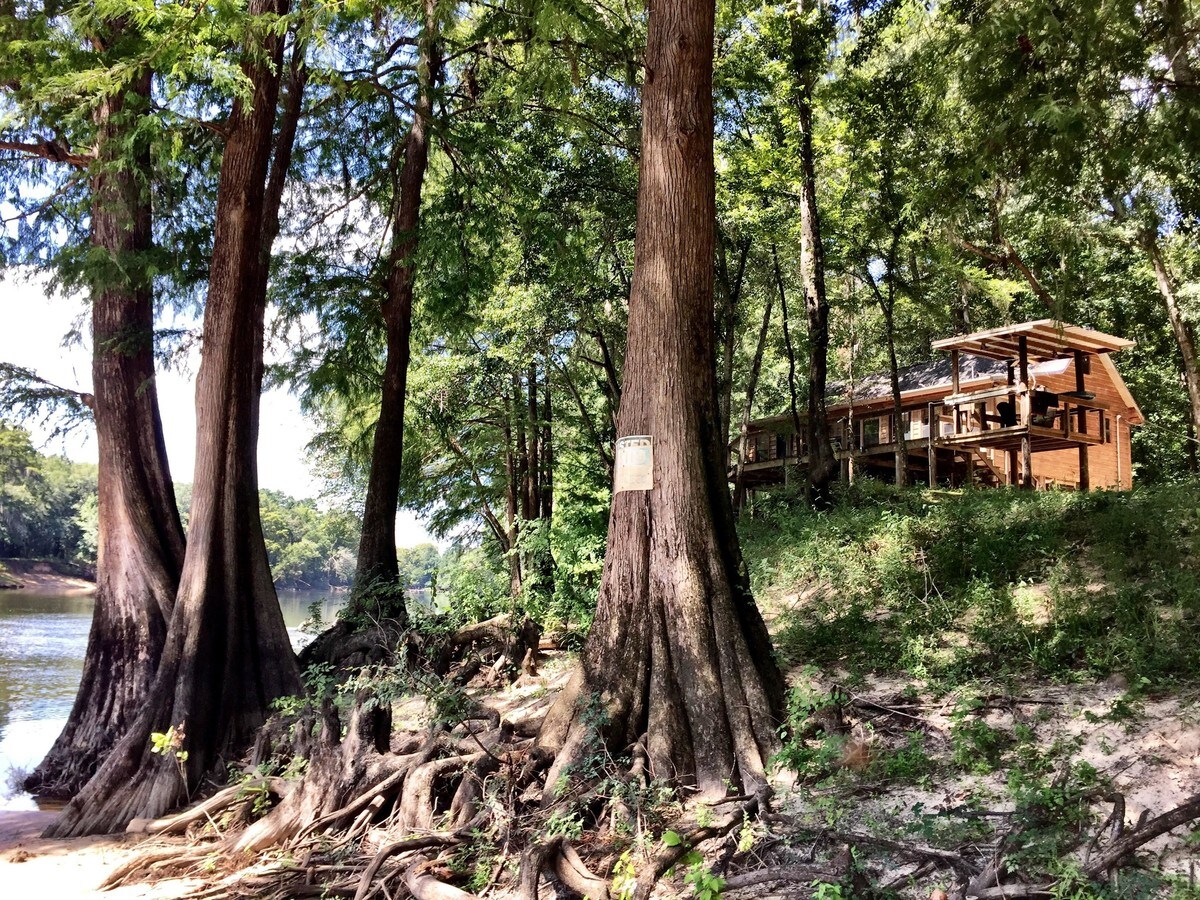 Drive Refuge Unmatched Flint River Property, Newton, GA 39870