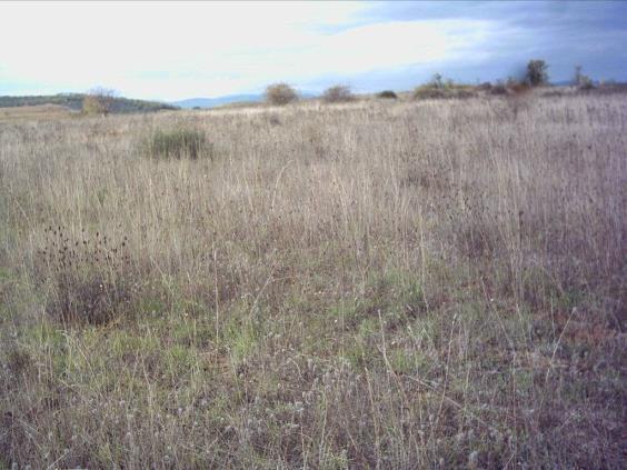 Land in Ponferrada, León for sale - Building Photo - Image 3 of 6