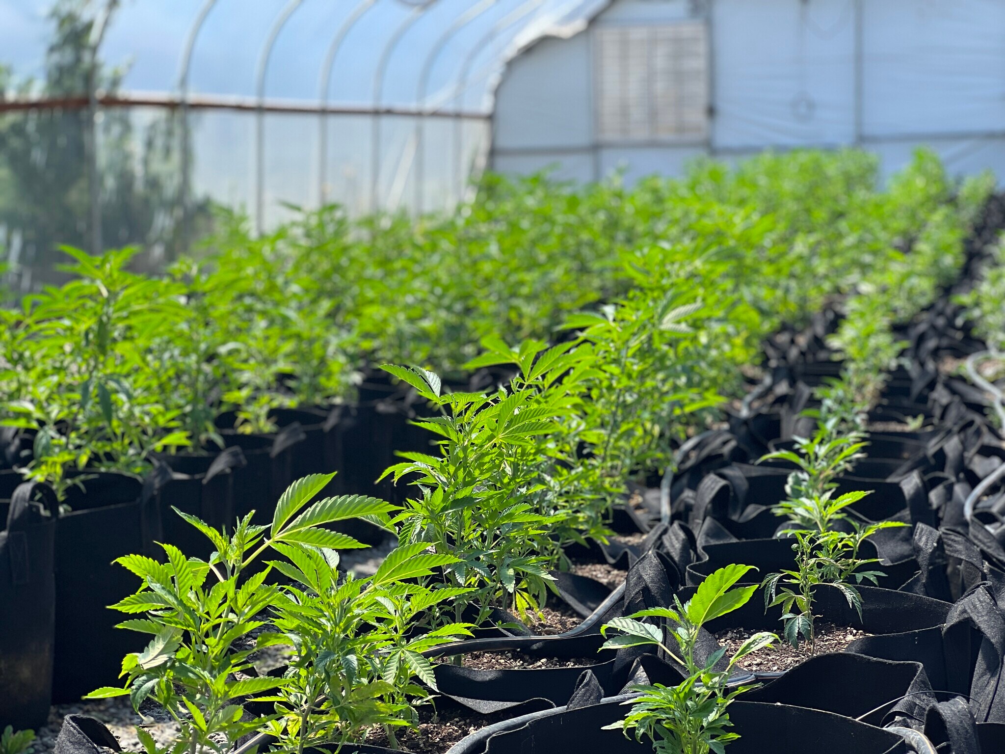 82415 Butte Rd, Creswell, OR for sale Building Photo- Image 1 of 1