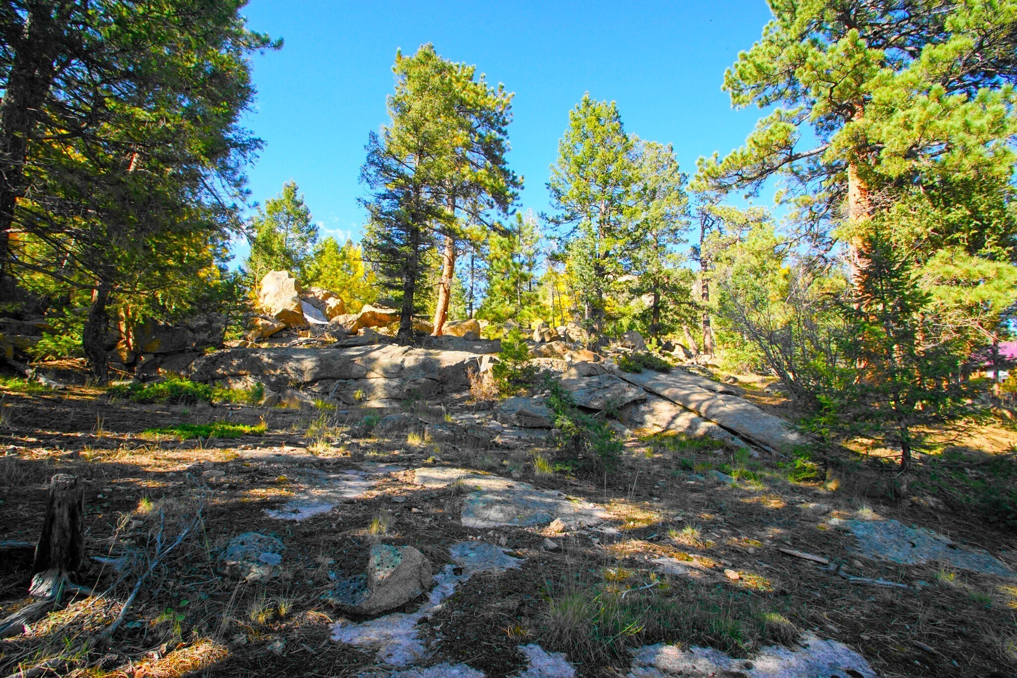 30599 Rand Rd, Conifer, CO for sale Primary Photo- Image 1 of 5