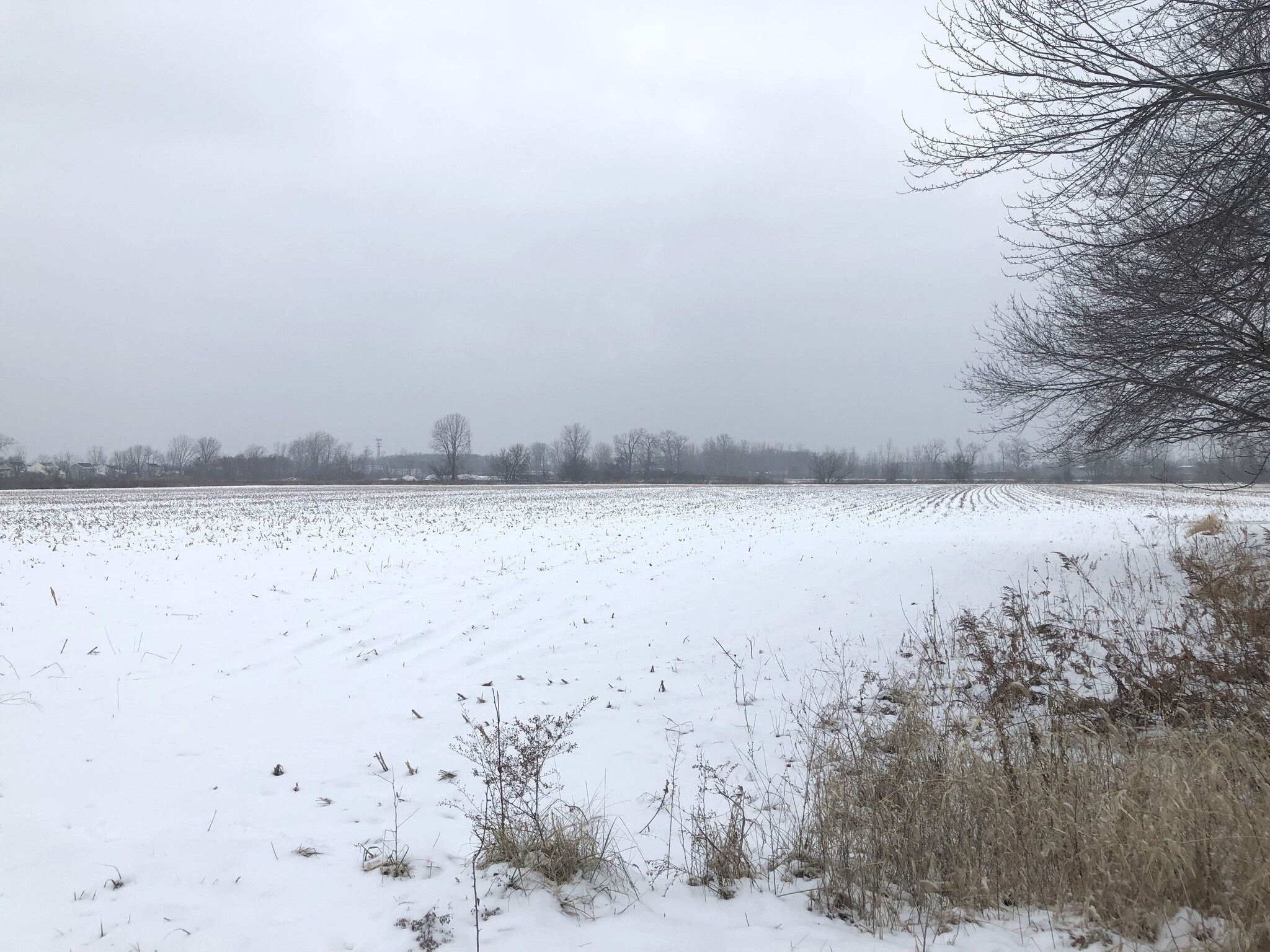 3920 Angola Rd, Toledo, OH for sale Other- Image 1 of 1