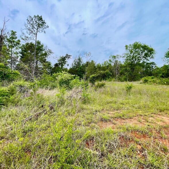 TBD County Road 336, Tyler, TX for sale - Building Photo - Image 3 of 11