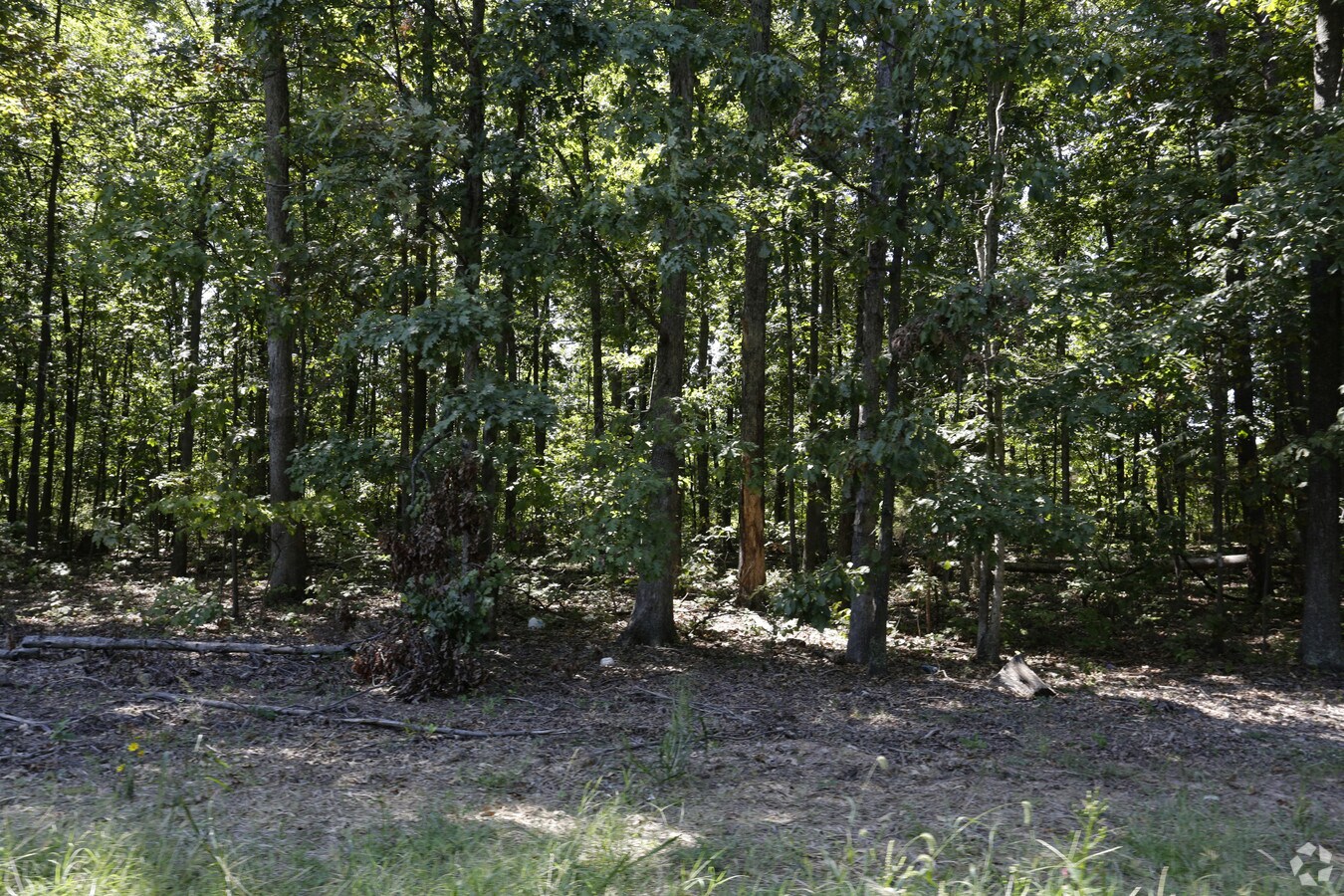 View Photo