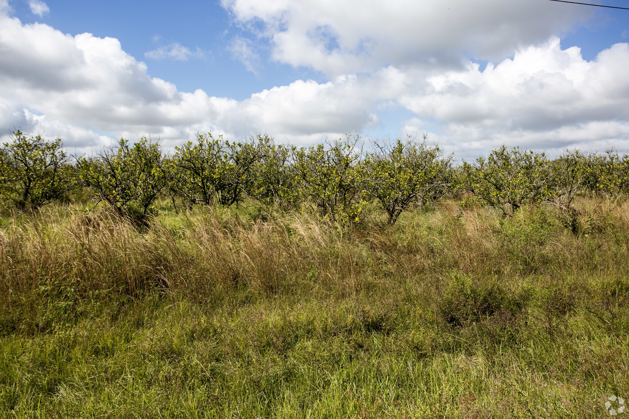 CR 769, Arcadia, FL for sale Primary Photo- Image 1 of 1