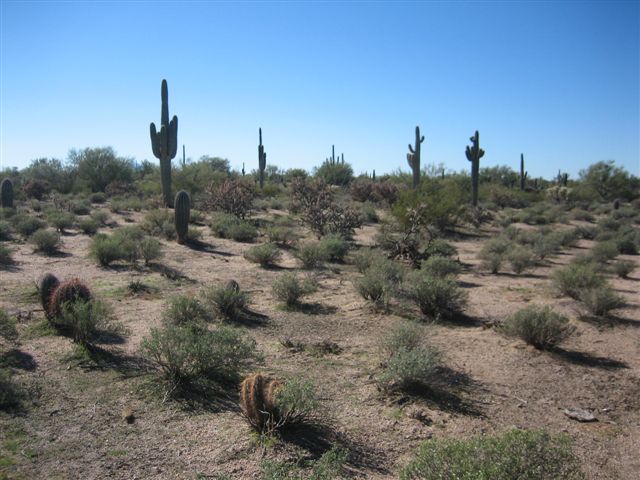 0 E Florence-Kelvin Hwy, Florence, AZ for sale - Primary Photo - Image 1 of 3