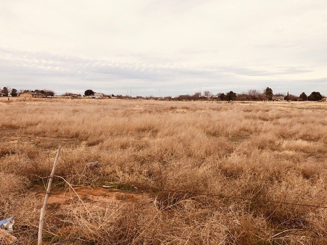 0 Interstate 20 Service Rd, Stanton, TX for sale Other- Image 1 of 1