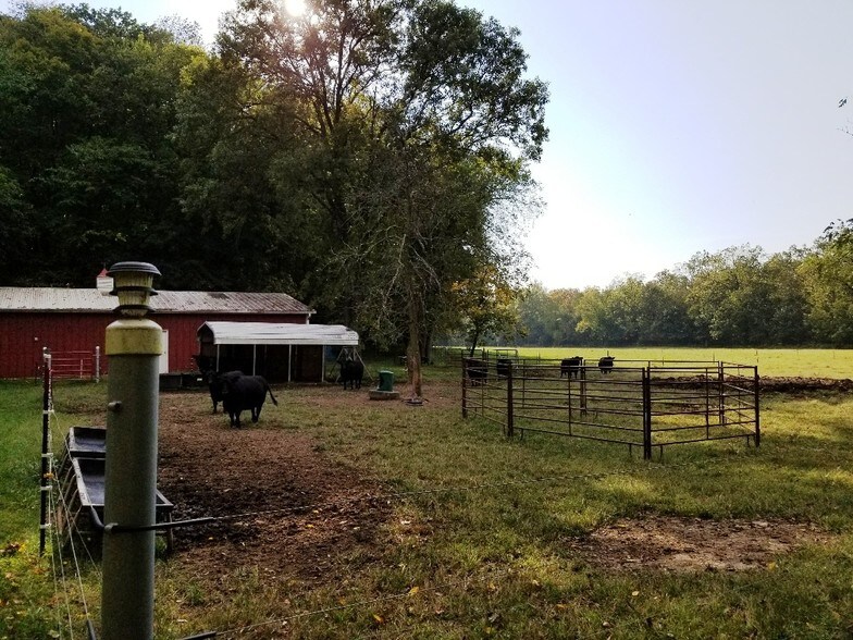 58 Acres Ln, Hawk Point, MO 63349