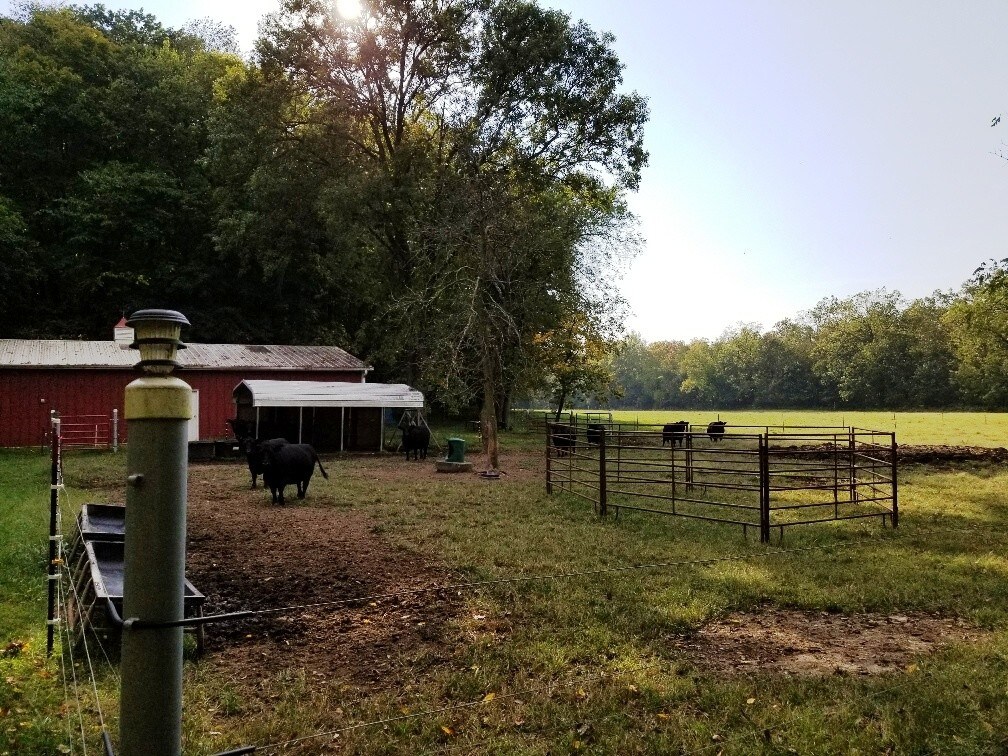 58 Acres Grasshopper Ln, Hawk Point, MO for sale Other- Image 1 of 1