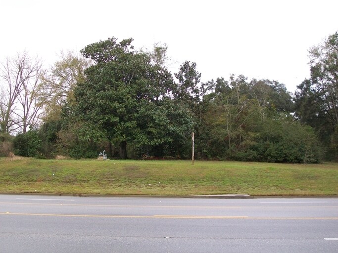 8306 Cottage Hill Rd, Mobile, AL for sale Primary Photo- Image 1 of 1