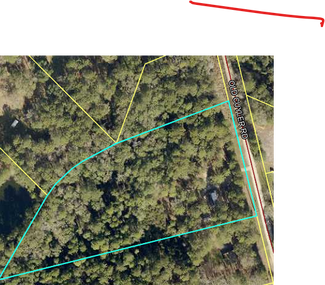 More details for 208 Old Cuyler Rd, Ellabell, GA - Land for Sale