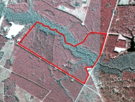 Plantersville Rd, Georgetown, SC for sale Building Photo- Image 1 of 1