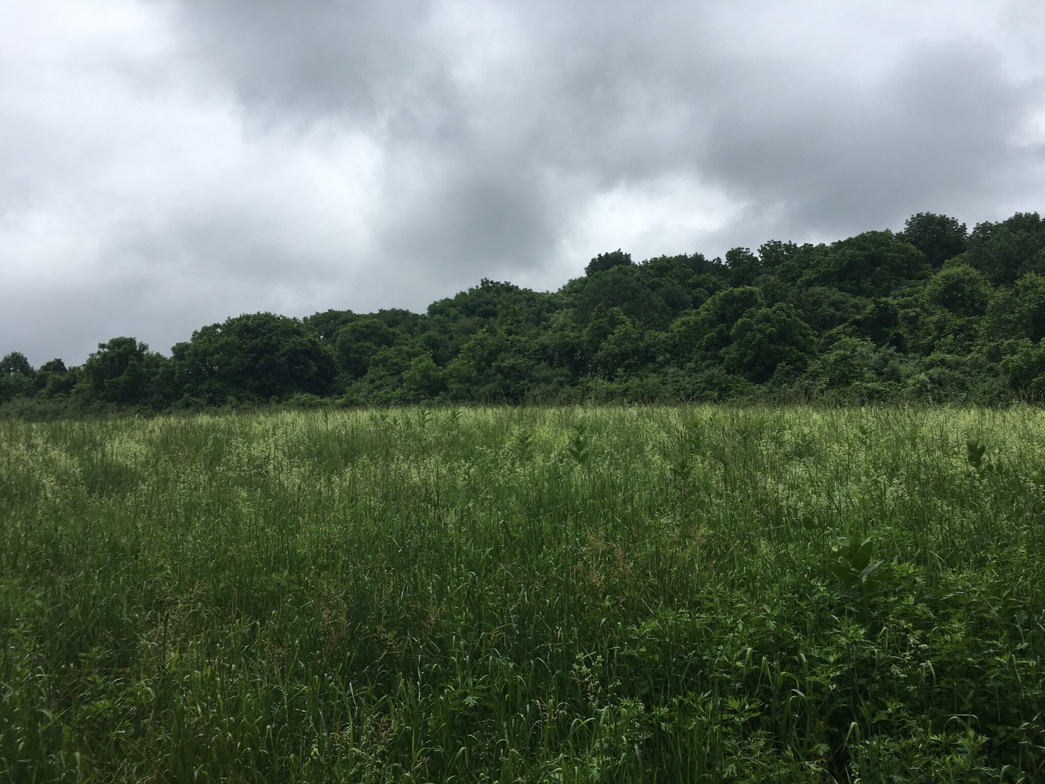 Camp Weaqua Rd, Johnsonburg, NJ for sale Other- Image 1 of 1