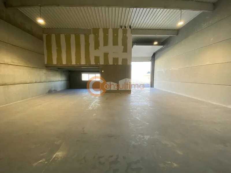 Flex in Mios for sale Interior Photo- Image 1 of 11
