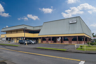 More details for 88 Kanoelehua Ave, Hilo, HI - Office for Lease