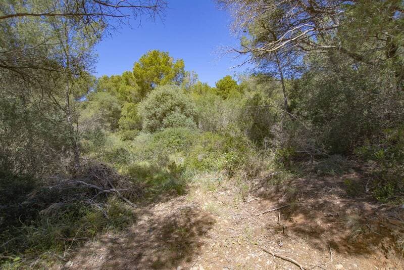 Son, 3, Es Castell, Islas Baleares for sale - Building Photo - Image 3 of 11