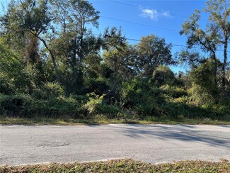 More details for County Road 690, Webster, FL - Land for Sale