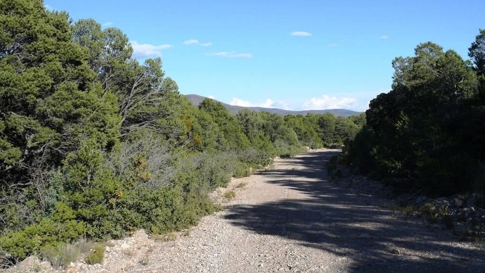 Palomino, Timberon, NM 88350