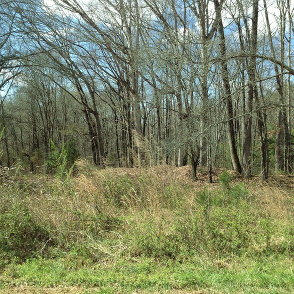 3617 Cornwell Ct, Catawba, SC for sale - Other - Image 1 of 1