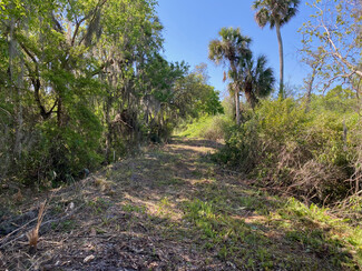 More details for Lot 196, New Smyrna Beach, FL - Land for Sale