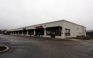 More details for 6650 Lewis St, Temperance, MI - Retail for Lease