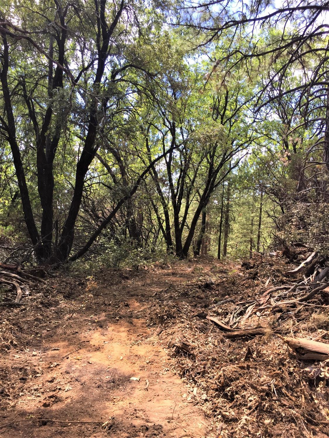 22210 Fiddletown Rd, Fiddletown, CA 95629 Take in the Splendor