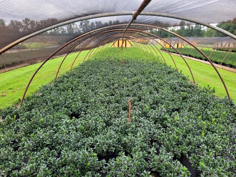 1242 Minter ln, Walkerton, VA for sale - Building Photo - Image 2 of 8