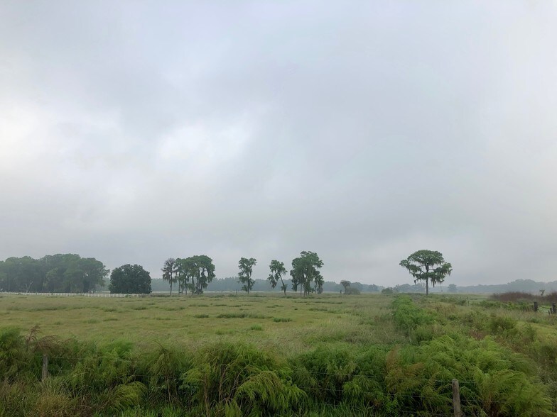 38955 Carlton Rd, Parrish, FL for sale - Primary Photo - Image 1 of 1