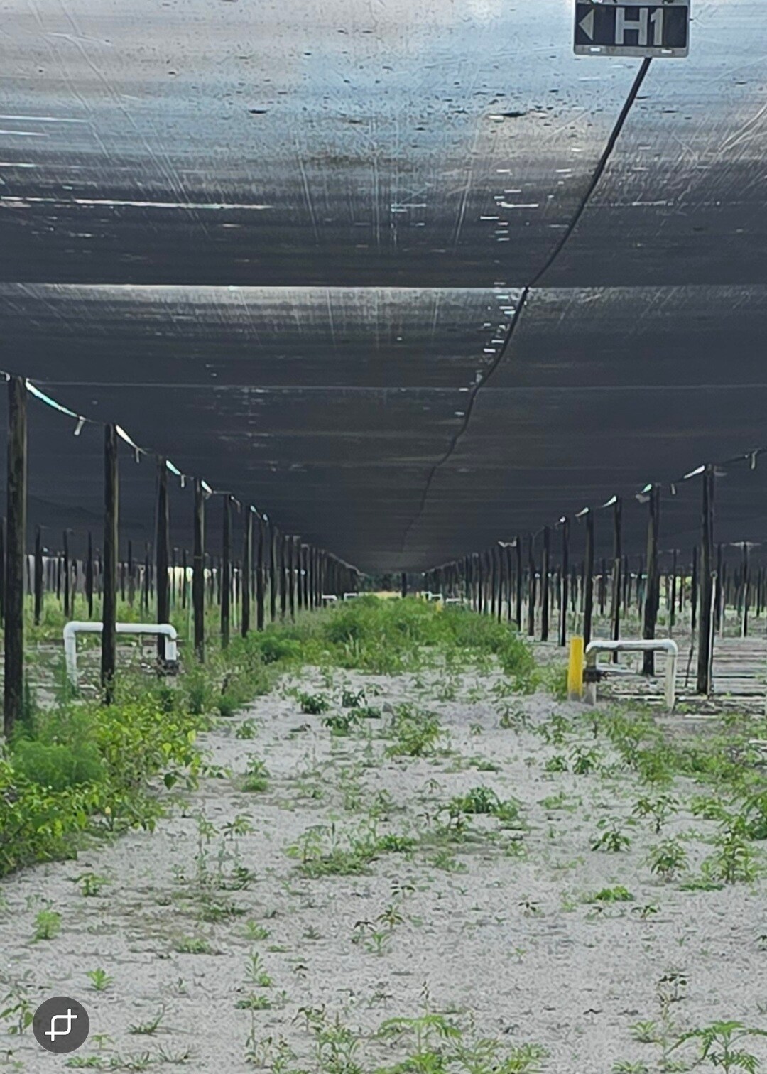 20125 Charles Green Blvd, Loxahatchee, FL for sale Primary Photo- Image 1 of 1