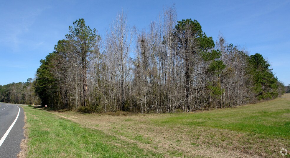 1407 S Jefferson St, Monticello, FL for sale - Primary Photo - Image 1 of 1