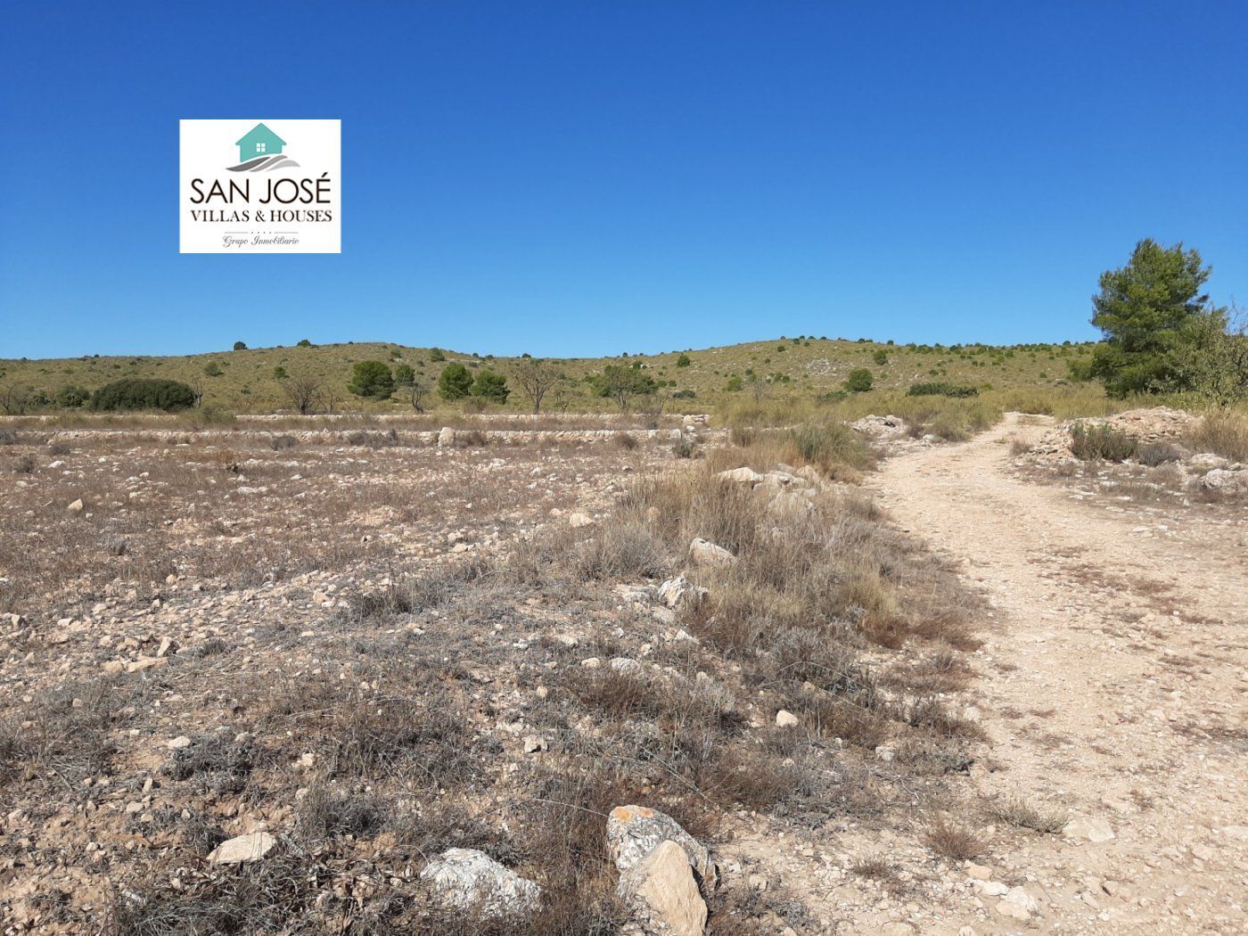 Land in PINOSO for sale Building Photo- Image 1 of 5