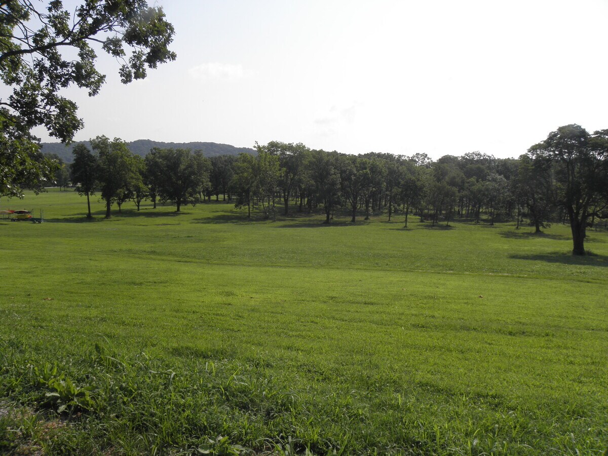 View Photo