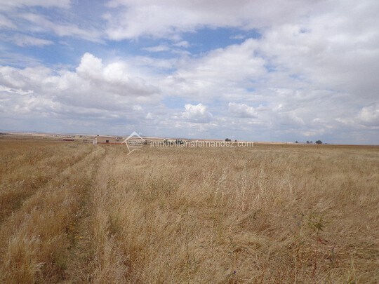 Land in Cáceres for sale - Building Photo - Image 1 of 2