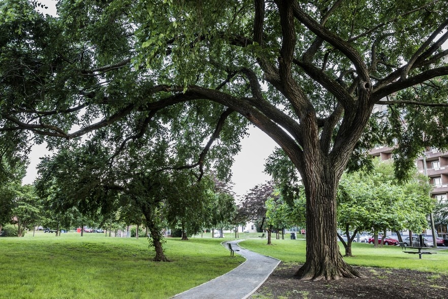 3601 Wilson Blvd, Arlington, VA for lease - Building Photo - Image 2 of 13