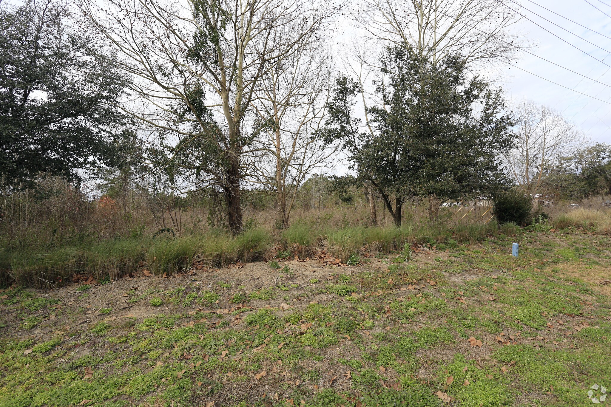 Okatie Hwy, Ridgeland, SC for sale Primary Photo- Image 1 of 1