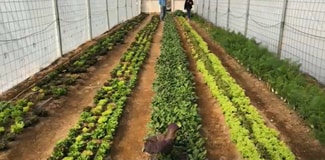 More details for 691 Desert Trail Way, Tecopa, CA - Specialty for Sale