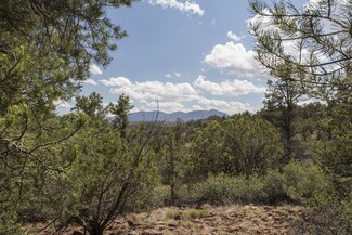 More details for 1200 Airport, Payson, AZ - Land for Sale