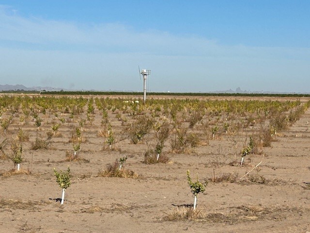 County 18th, Yuma, AZ for sale - Building Photo - Image 2 of 15