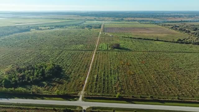 State Road 78, Moore Haven, FL for sale - Commercial Listing Video - Image 2 of 17