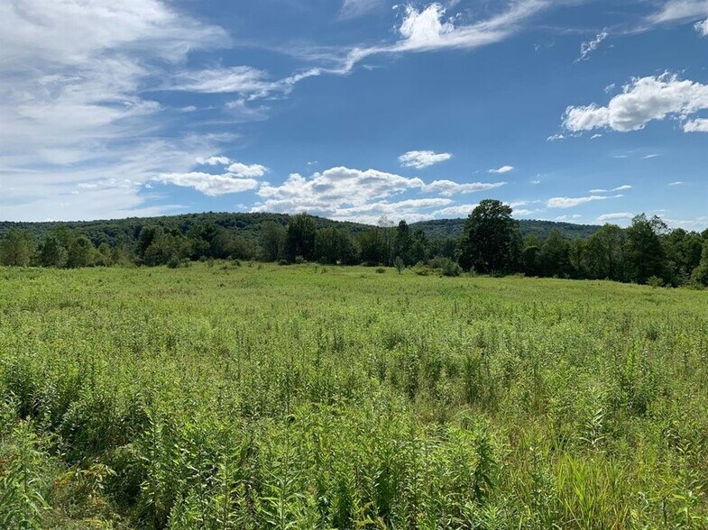 6575 Steam Mill Rd, Masonville, NY 13804