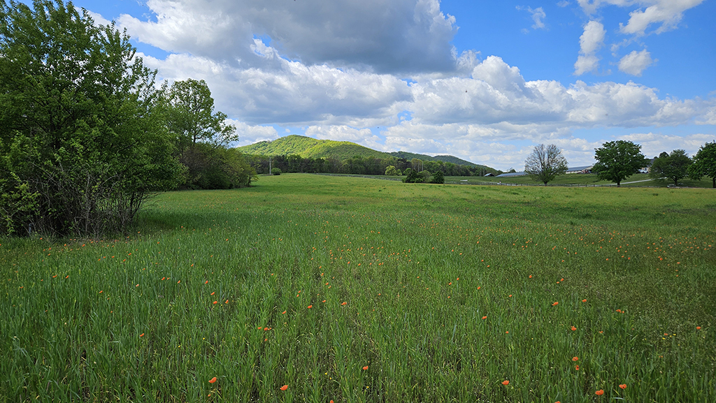 Chapel Village Road, Stanley, VA 22851 - Stanley | LoopNet