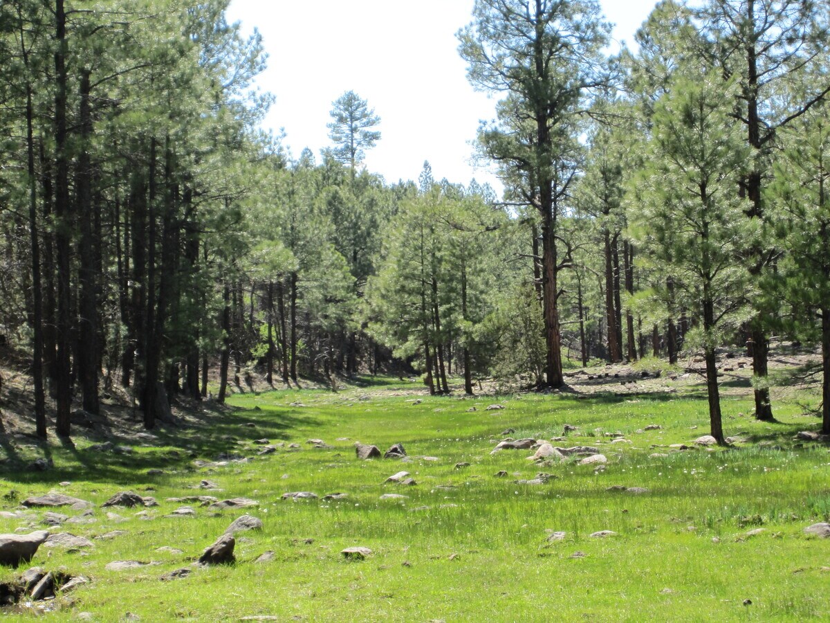 8776 Clark Rd, Show Low, AZ 85901