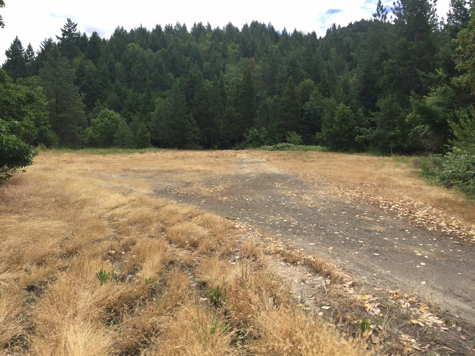 458 Sunny Valley Loop, Wolf Creek, OR for sale Primary Photo- Image 1 of 1