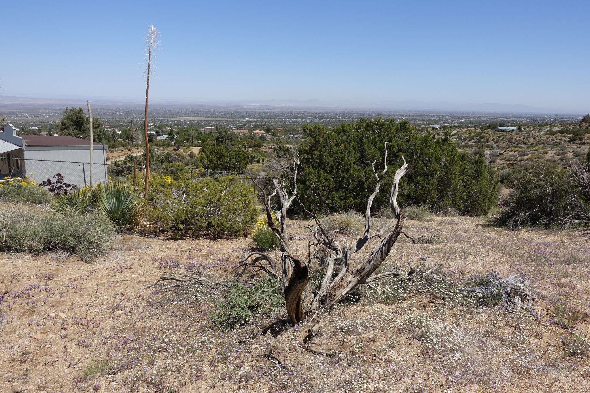 0 Daycreek, Pinon Hills, CA 92372