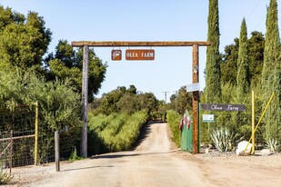 Olea Farm - Vineyard