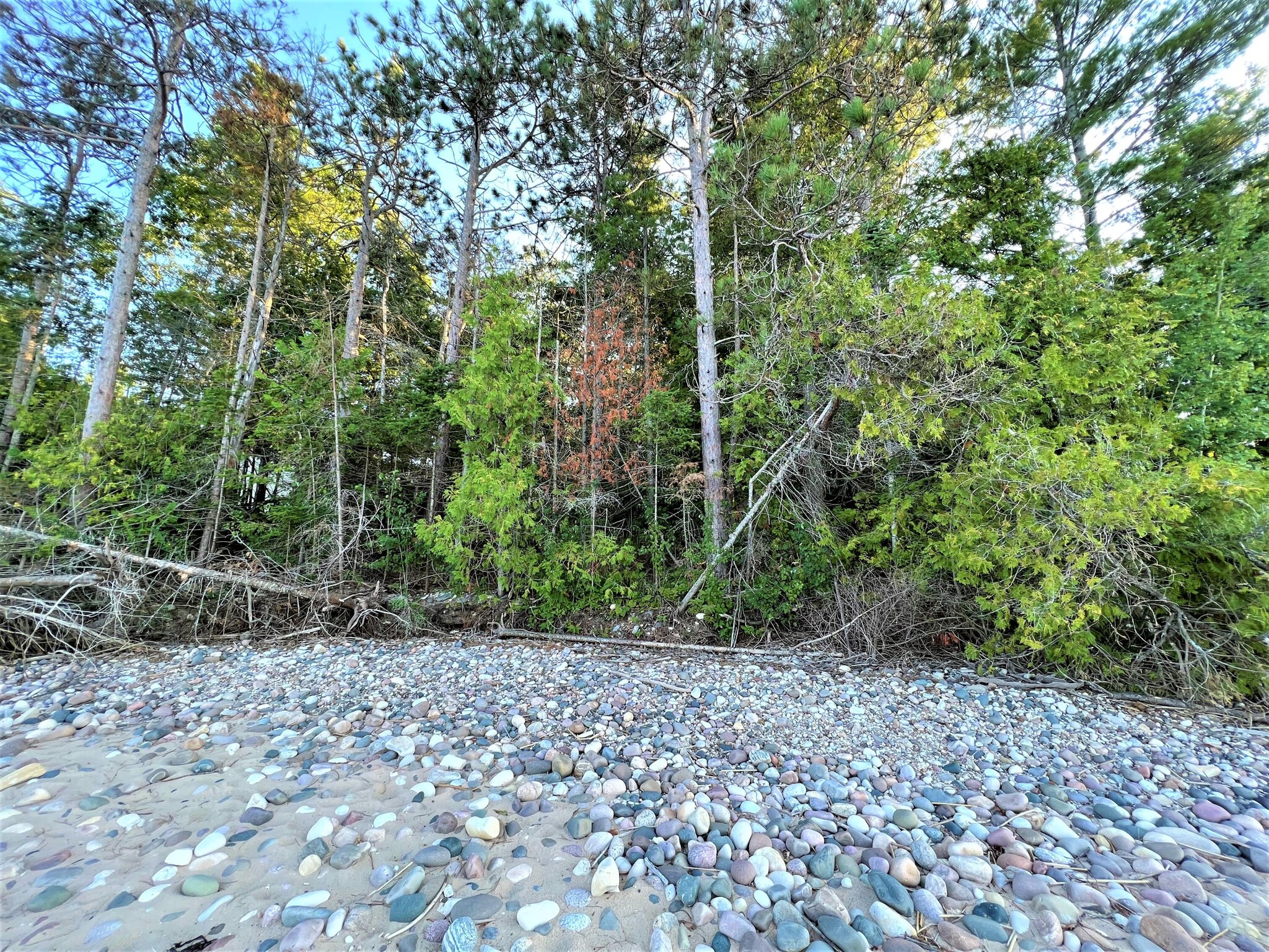 9157 Cordwood, Cheboygan, MI for sale Other- Image 1 of 1