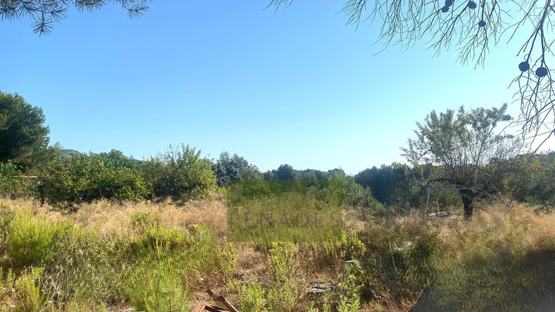 Land in Ontinyent for sale Building Photo- Image 1 of 6