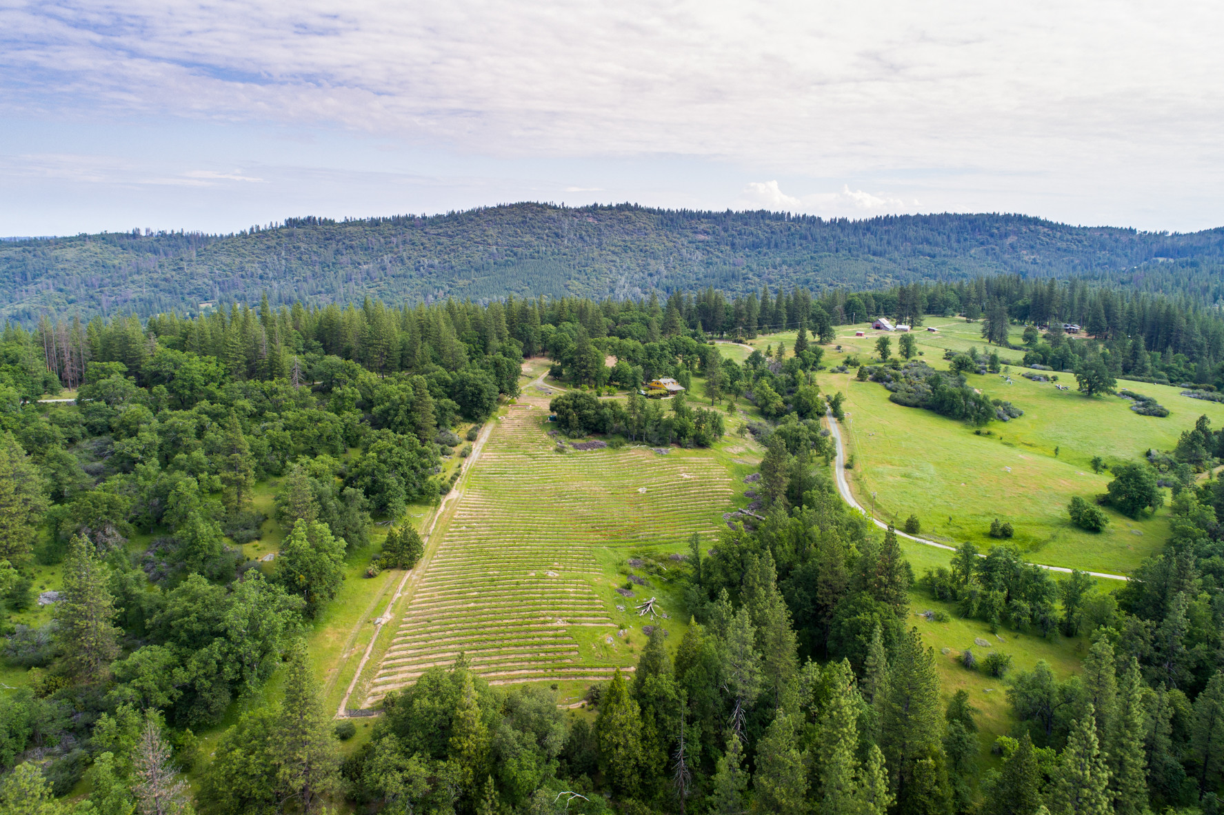 7750 Happy Valley Rd, Somerset, CA for sale Other- Image 1 of 1