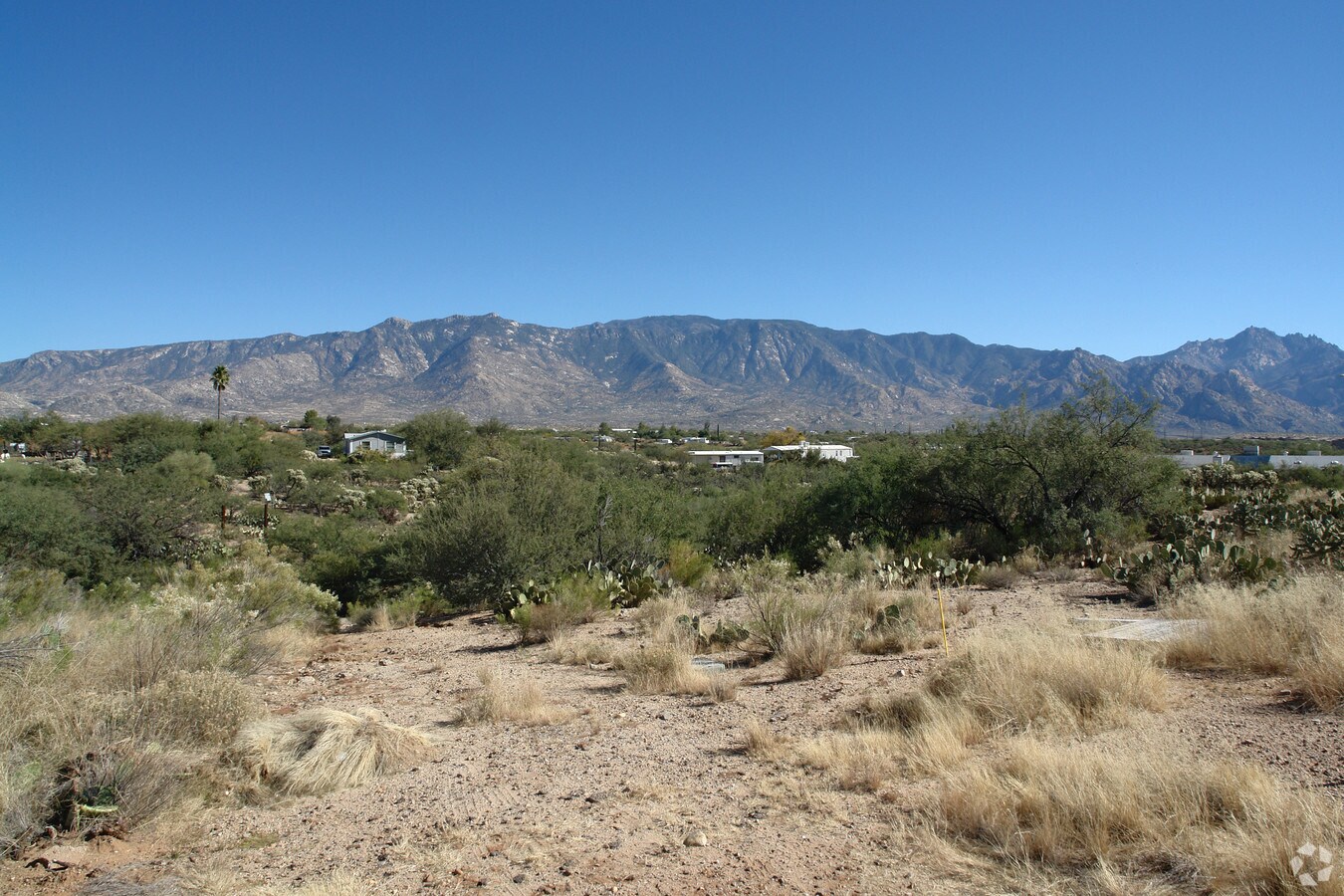 15610 N Oracle Rd, Catalina, AZ 85739